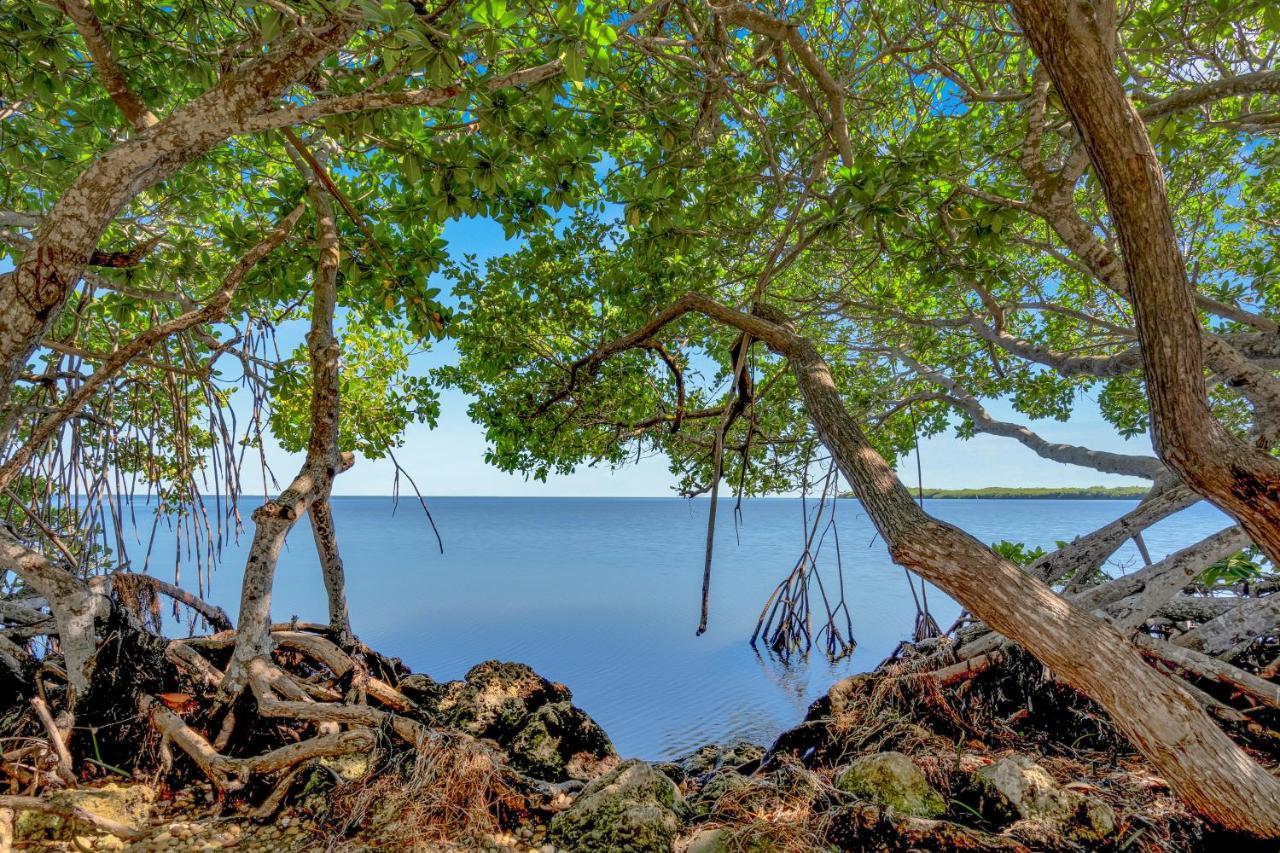 Dove Creek Resort & Marina, Trademark Collection By Wyndham Key Largo Exterior foto